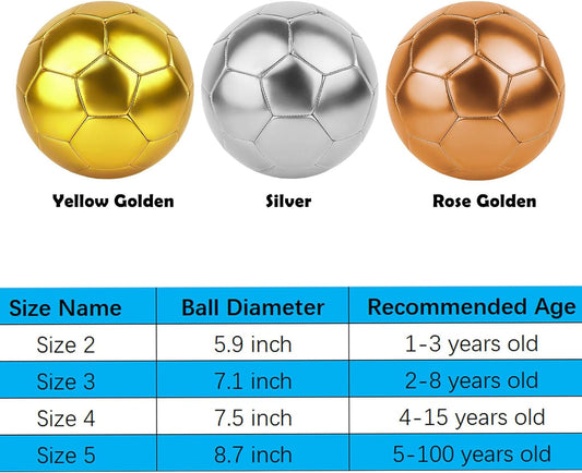 Multi-Size Training Soccer Ball Set